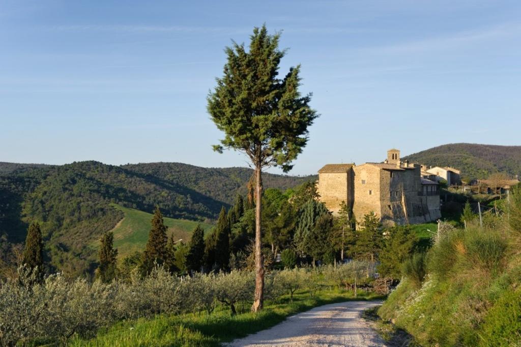 Cannara Umbria Nel Cuore מראה חיצוני תמונה